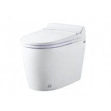Integrated Smart Bidet Toilet