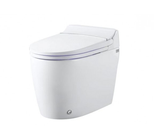 Integrated Smart Bidet Toilet