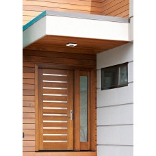 Solid modern door with chrome inserts