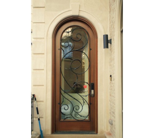 1 panel door with glass and a curved top