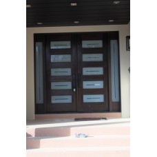 Double door modern style with glass