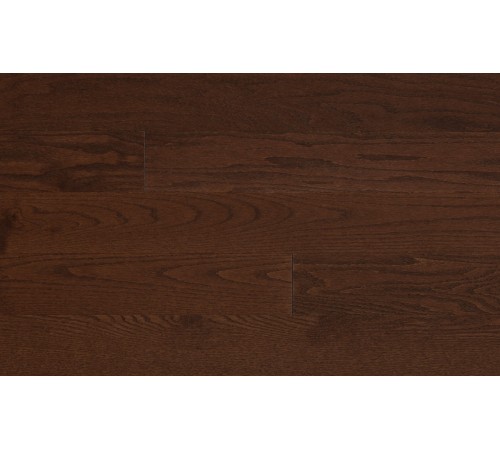 Red Oak
 Autumn Leaf