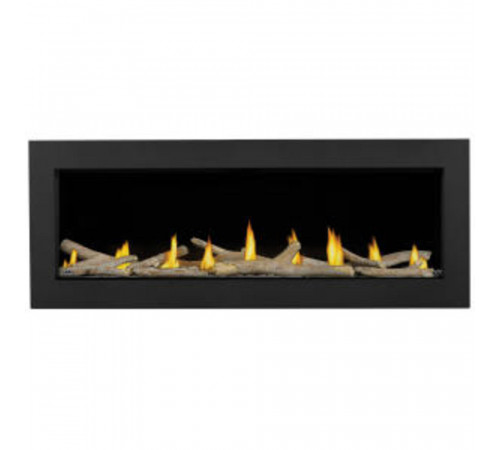 Acies™ 50 Direct Vent Gas Fireplace