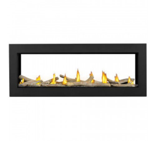 Acies™ 50 See Through Direct Vent Gas Fireplace